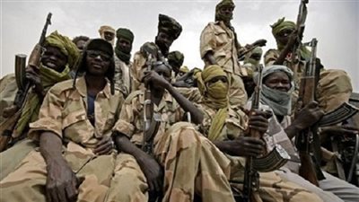 تعاون أممي مع السودان لتنفيذ برنامج إعادة الإدماج للمقاتلين بدارفور