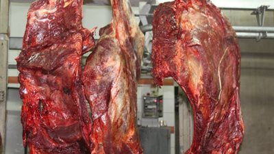 ضبط كميات كبيرة من المثلجات واللحوم الفاسدة داخل مصنع بسوهاج