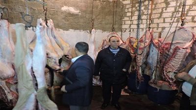ضبط مجزر غير مرخص لذبح المواشي بملوي في المنيا