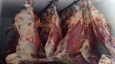 ضبط 431 كيلو لحوم فاسدة بمطعم شهير في شبرا الخيمة