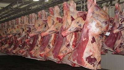 ضبط مصنع غير مرخص لإنتاج اللحوم الفاسدة بالقليوبية