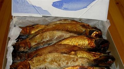 ضبط 2 طن ملح فاسد بمصنع رنجة بالغربية