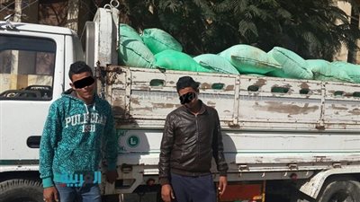 بالصور.. ضبط 5 أطنان ملح محظور استخدامه في الأغراض الغذائية بالأقصر