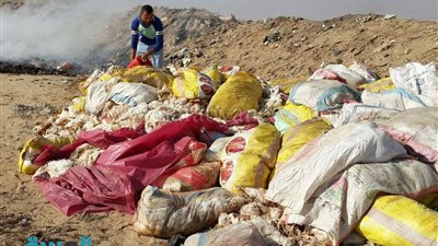 بالصور.. مباحث التموين تضبط 4 أطنان دواجن نافقة قبل طرحها في الأسواق