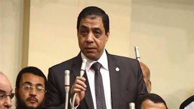 برلماني: بيان الحكومة 