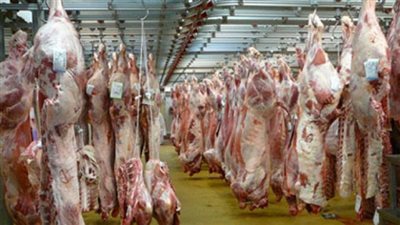 إجراءات بيطرية مشددة بأسوان لمراقبة وصول اللحوم القادمة من الخارج