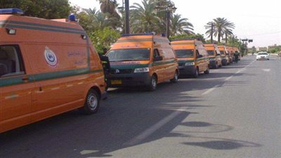 غدًا.. الأوقاف تسلم الصحة 6 سيارات إسعاف من عائد جلود الأضاحي