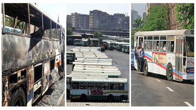 أسطول النقل الداخلي بالغربية يتحول لـ