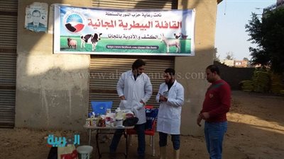 بالصور.. انتشار مكثف لعناصر حزب النور بقرى الغربية 