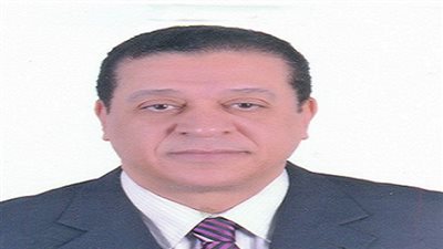 نائب برلماني: الاستثمارات السعودية بسيناء تؤكد نجاحنا في محاربة الإرهاب