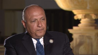 وزير الخارجية: علاقات مصر والسعودية 