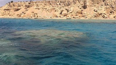 هآرتس: مصر أعلمت إسرائيل مسبقًا بأنها ستتنازل عن 