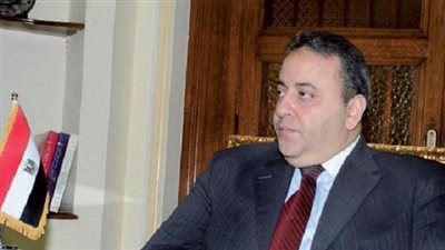سفير مصر بالجزائر ينفي هجوم جماهير 