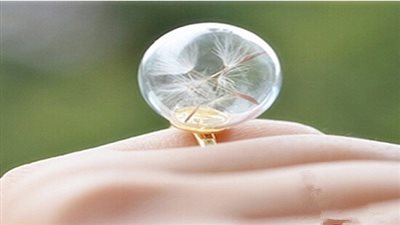 أنت والأبراج ودائرة حظ 