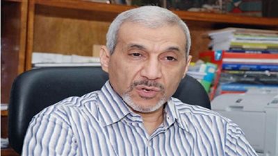 أستاذ علوم سياسية: أزمة السعودية ومصر تؤثر سلبًا على القضايا العربية