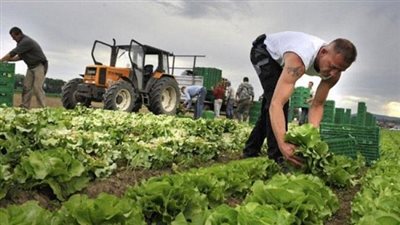 افتتاح دار التجارة الروسية التونسية في موسكو