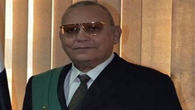 تفاصيل لقاء وزير العدل ونائبة رئيس البرلمان الألماني 