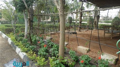 الجيزة تستعد لاحتفالات عيد القيامة والربيع.. ورفع كفاءة الكنائس بشارع مراد.. وتجهيز حملة مركزية للطوارئ أمام الحدائق.. والتنسيق مع غرفة العمليات.. وتخصيص خط ساخن للشكاوى 