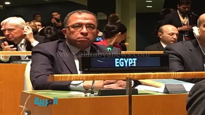 وزير التخطيط يشارك في مناقشات تحقيق أهداف التنمية المستدامة بالأمم المتحدة