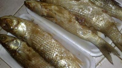 بالفيديو.. وزارة الصحة: تناول الفسيخ يؤدي للشلل أو الوفاة