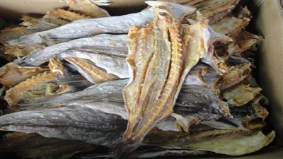 أضرار جسيمة للفسيخ في شم النسيم.. و