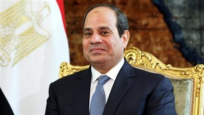 خلال ساعات.. السيسي يفتتح المشروع القومي للحفاظ على الأقماح
