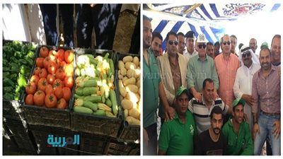 ​​وزير الزراعة يكلف هيئة التعمير بإيجاد آلية لتقنين أراضي جنوب سيناء.. خطة طموحة لتحويل 