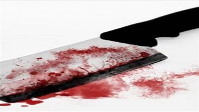 شاهد.. عناصر 