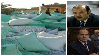 بالصور.. مزارعو القمح بالوادي الجديد يستغيثون من قرارات الحكومة.. وزيرا التموين والتجارة يشترطان 