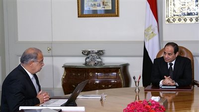 السيسي يستعرض نتائج اجتماعات واشنطن مع وزراء المجموعة الاقتصادية
