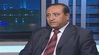 مساعد وزير الداخلية الأسبق: الدولة لا تحجر على آراء المصريين