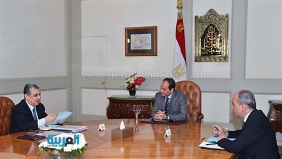 السيسي يلتقي وزير الكهرباء والطاقة المتجددة