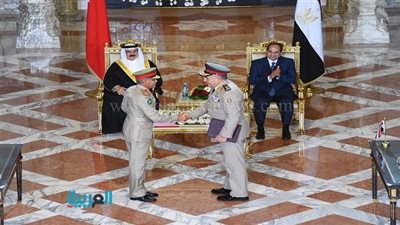 خبير: التحالف الاستراتيجي المصري الخليجي يحفظ أمن المنطقة