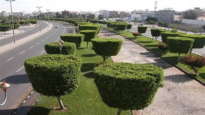 ننشر استعدادات محافظة القاهرة لشم النسيم