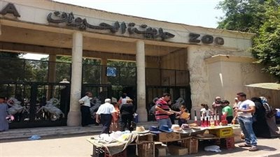 بانوراما لـ