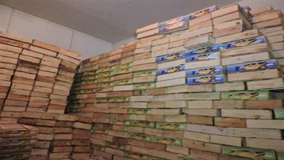 إعدام 602 كيلو رنجة وفسيخ فاسدة في الدقهلية