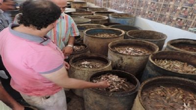 محافظة القاهرة تطالب 