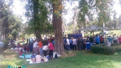 بالصور.. زوار 