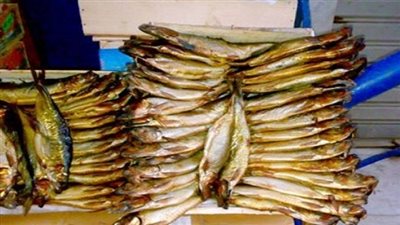 التحفظ على كمية من أسماك الرنجة لفحصها بالغربية