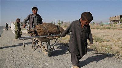 مئات الأطفال الأفغان يعملون في ظروف شاقة لتسديد ديون آبائهم