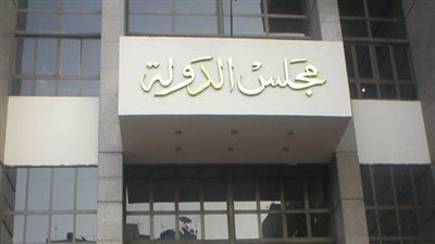 دعوى تطالب القضاء الإداري بوقف قرار إغلاق المعاهد الدينية 