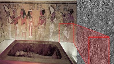 بالفيديو والصور.. 