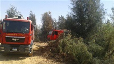 إخماد حريق شونة القمح بأوسيم