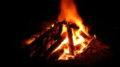 الإنسان البدائي استعان بالحرائق ليتعلم الطبخ