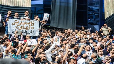 شاهد.. عضو مجلس 