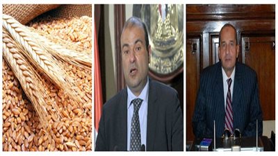 برلماني: طلب إحاطة لوزيري الزراعة والتموين لحل أزمة القمح