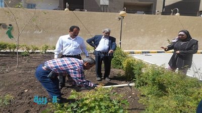 بالصور.. 100 شجرة مثمرة ونباتات زينة لتجميل 7 مدارس بأسيوط