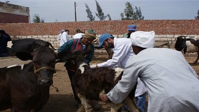 ننشر استعدادات 