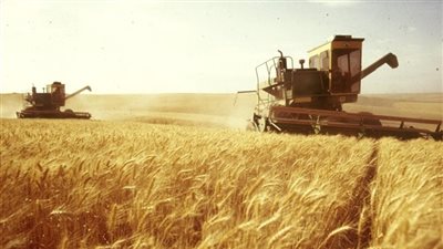 شاهد.. حسام إمام: لن نهدر حبة قمح واحدة داخل الدقهلية