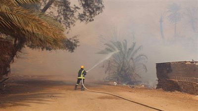 حريق بالواحات يلتهم 3 آلاف نخلة والخسائر تتعدى الملايين